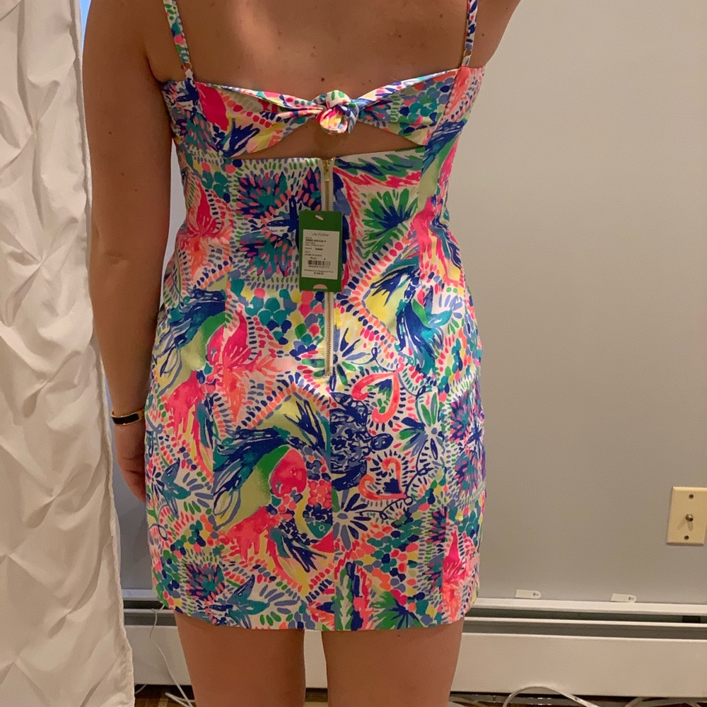 Lily Pulitzer dress!!